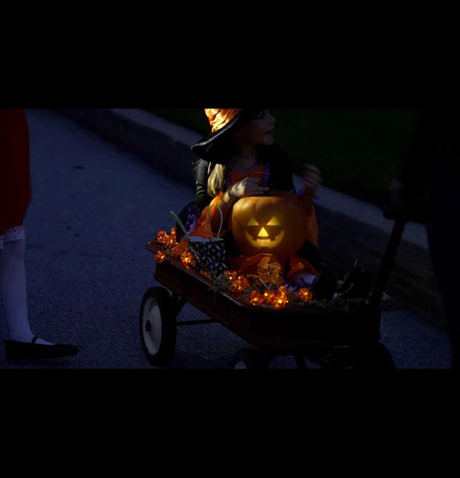 ✨2025All Saints 🎃 Jabberin' Jack Talking Pumpkin👻