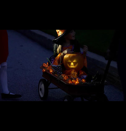 ✨2025All Saints 🎃 Jabberin' Jack Talking Pumpkin👻